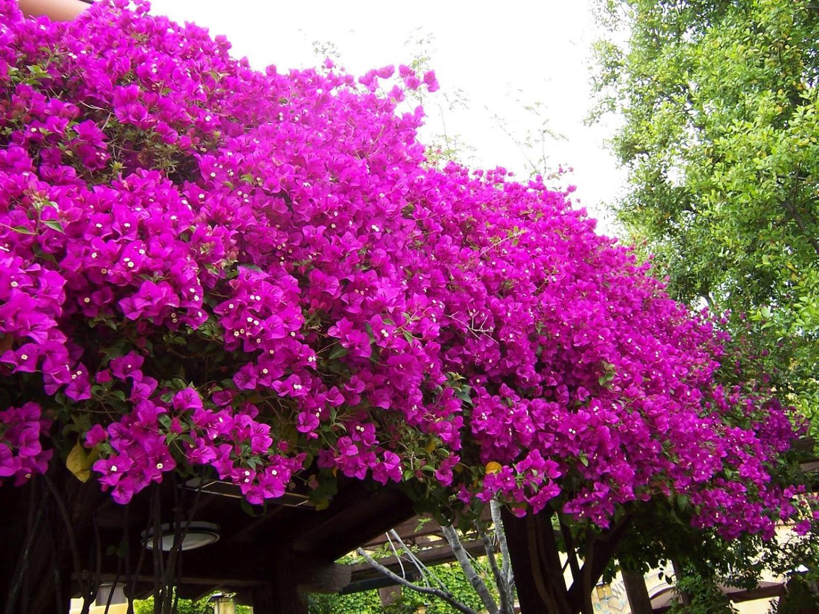 Casanoa Luxury Villa Bed And Breakfast Jávea エクステリア 写真
