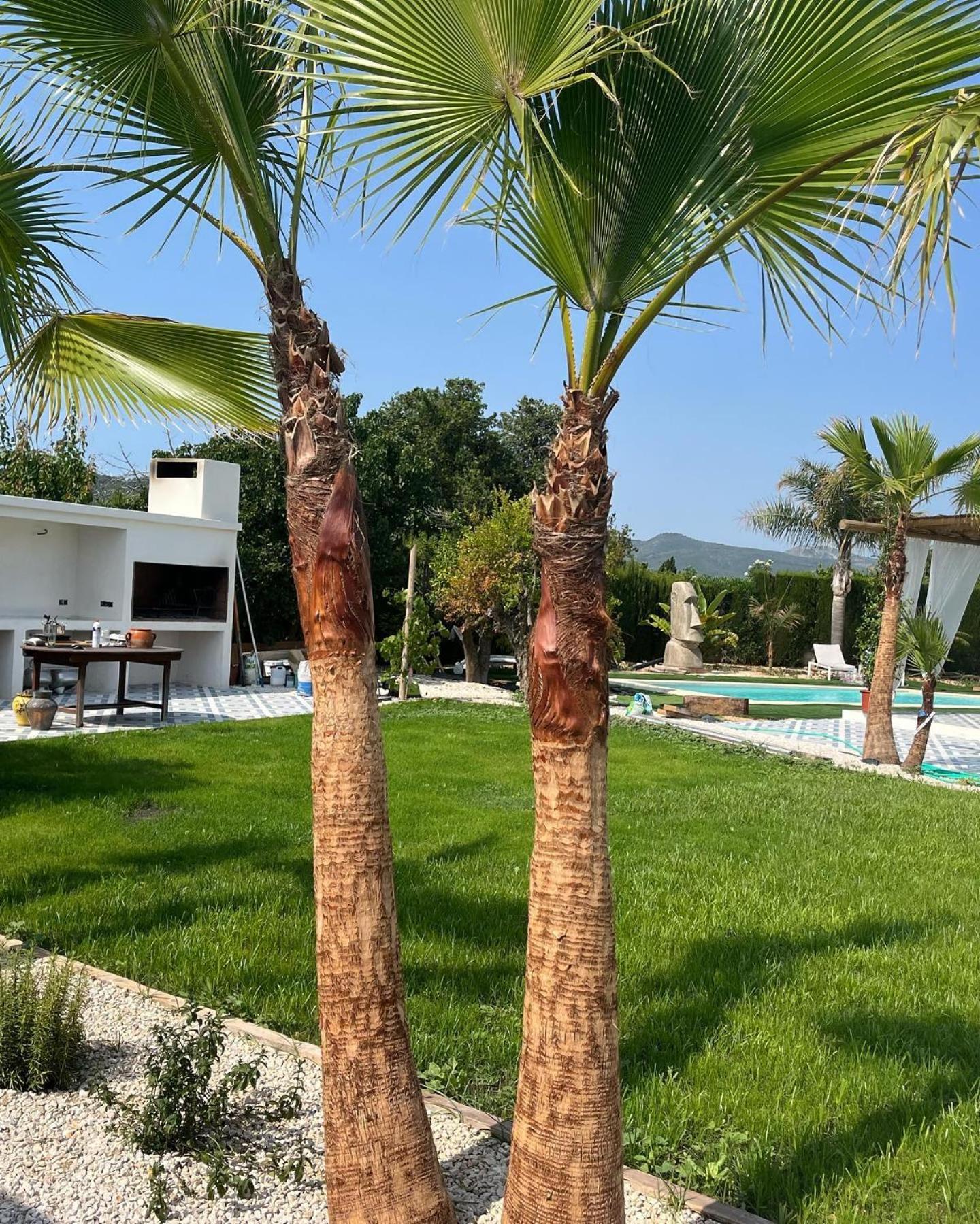 Casanoa Luxury Villa Bed And Breakfast Jávea エクステリア 写真
